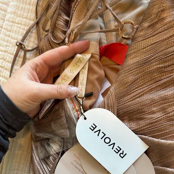 Maria Lucia Hohan Pleated Dress in Creme Brulee - Picture 7 of 7